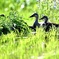 休憩？それともさぼり？