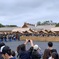 大嘗宮 一般公開 その２