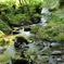 積まれた石と川