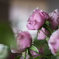 DSCF6667