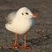 温かなまなざし