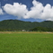 弥彦山と多宝山 2020-06-17