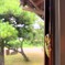 収まりヨシ