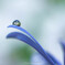 blue＆white