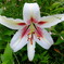 華PHOTO#38