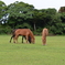 DSC_1779