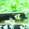 IMG_20200621_135221_905