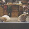 storekeeper brothers