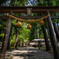 下原八幡神社の境内を行く1027D