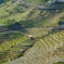 丸山千枚田