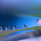 心海DROPS・・・メルヘン村の雫工房