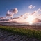 ーー”夕日ヶ浦海岸・夕焼け”ーー