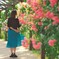 薔薇の如く7