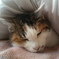20081231　まどろみ