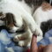 20090109　E.T.・・・？