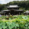 三室戸寺