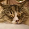 (( _ _ ))..zzzZZ