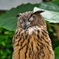 掛川花鳥園 08
