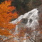 紅葉の間