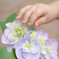 きれいなお花見っけ