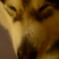 しあわせなじかん。