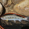 山女魚