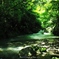 透き通る緑の渓流