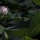 独り　その275