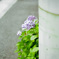 5F71B903-0811-4500-AF98-C47349BFA74D