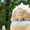 森林公園（2）