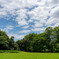 森林公園（7）