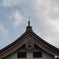 7月5日日曜日　曇り