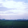 近所の田んぼ