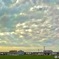 7月5日日曜日　曇り