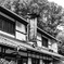 土産屋さん