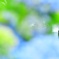 紫陽花蒸気 2020 version