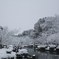 雪景色