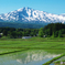 田映