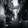大須通商店街・・・