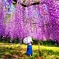 至福の時