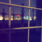 fence