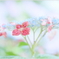 Red decoration