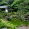 枯山水の庭園（期間限定池泉庭園）