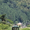 緑の列車と緑の山