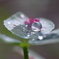 M's drops 11～雨の土曜の朝に