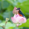 花に