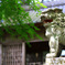 谷汲山　八王子神社