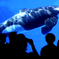 水族館初挑戦
