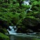 名も無き水辺にて。。③