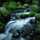 名も無き水辺にて。。④
